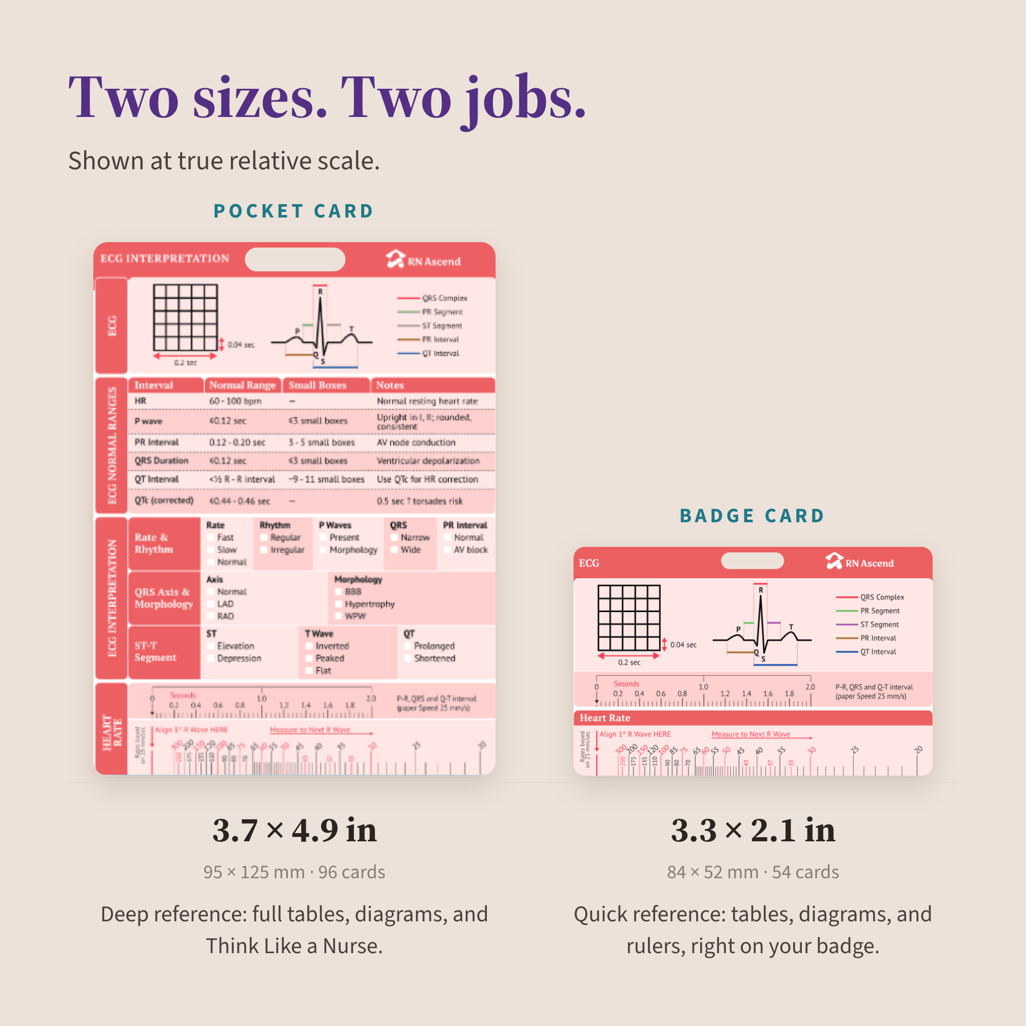 True scale comparison of the RN Ascend pocket card at 3.7 by 4.9 inches and badge card at 3.3 by 2.1 inches, both showing ECG interpretation