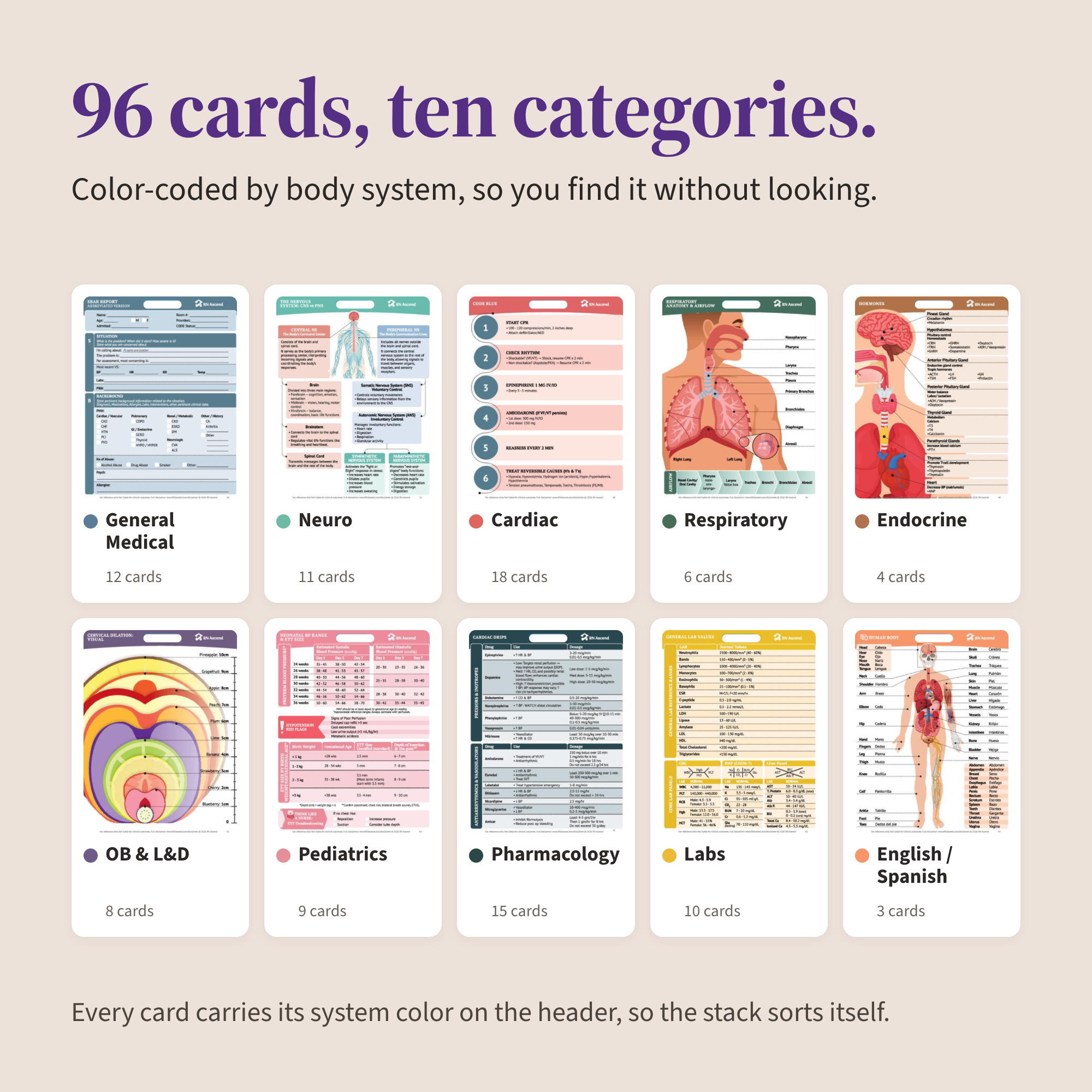 The 96 pocket cards grouped into ten color-coded systems: General Medical, Neuro, Cardiac, Respiratory, Endocrine, OB and L and D, Pediatrics, Pharmacology, Labs, and English and Spanish